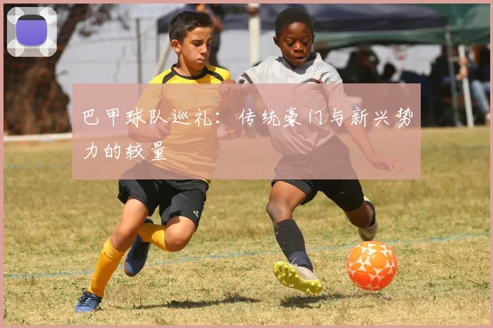 巴甲球队巡礼：传统豪门与新兴势力的较量
