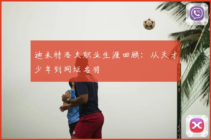迪米特洛夫职业生涯回顾：从天才少年到网坛名将