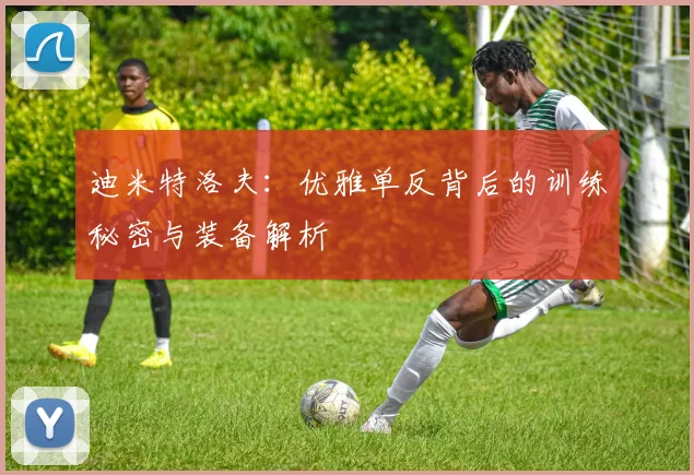 迪米特洛夫：优雅单反背后的训练秘密与装备解析