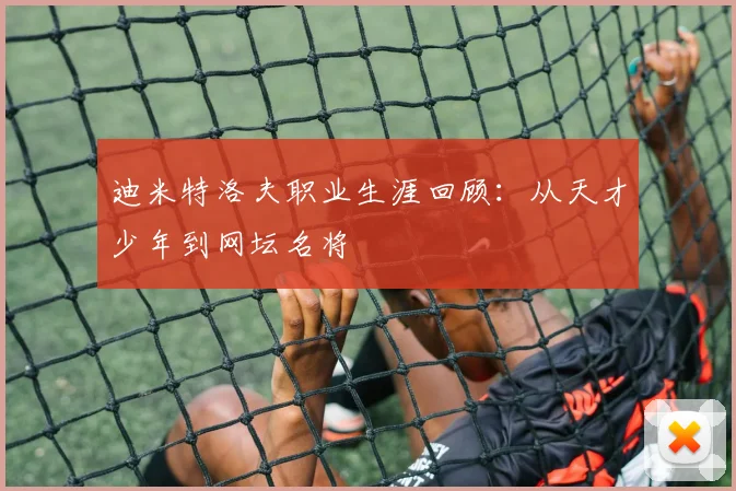 迪米特洛夫职业生涯回顾：从天才少年到网坛名将