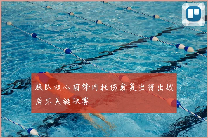 狼队核心前锋内托伤愈复出将出战周末关键联赛