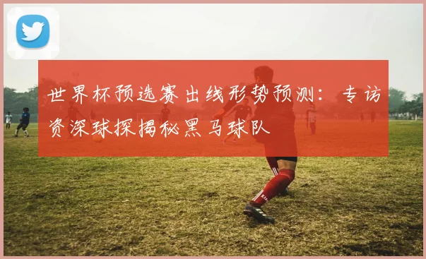世界杯预选赛出线形势预测：专访资深球探揭秘黑马球队