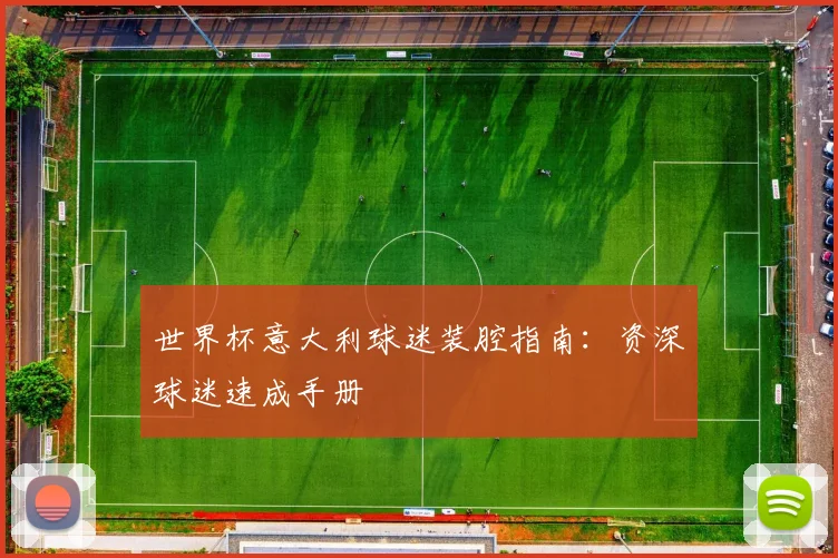 世界杯意大利球迷装腔指南：资深球迷速成手册