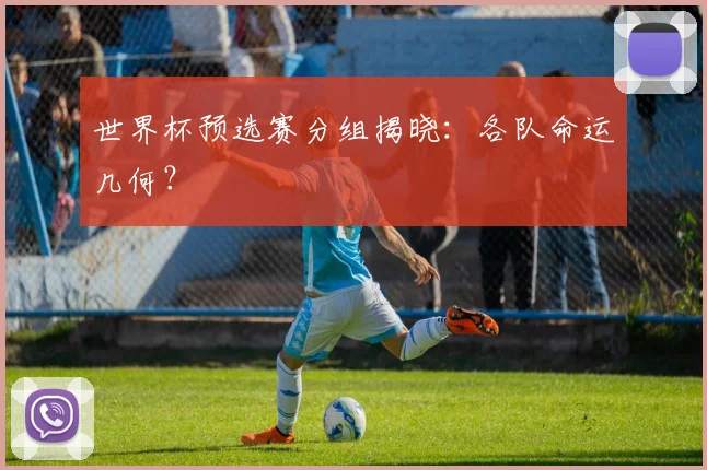 世界杯预选赛分组揭晓:各队命运几何?