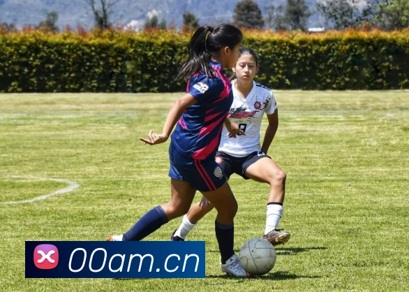 星空体育综合app下载官网平台生态图