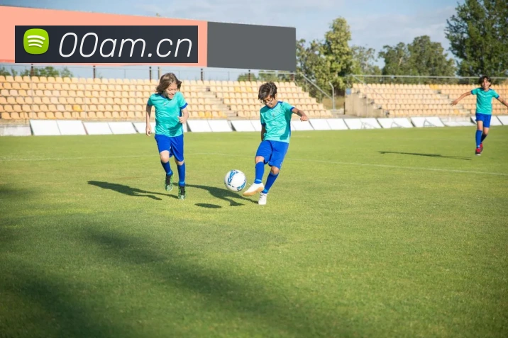 星空体育综合app下载官网APP 封面图